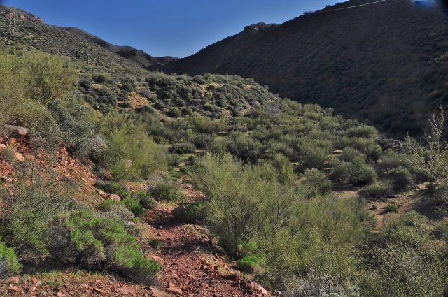 Cottonwood Canyon Trail 